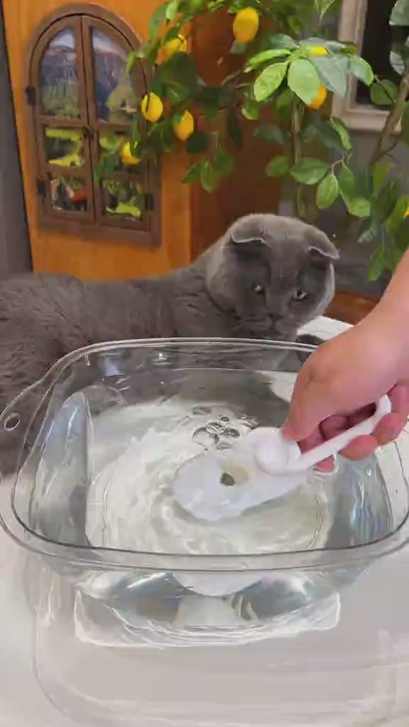Cat groomed with the misting brush, showing the loose fur it lifts out