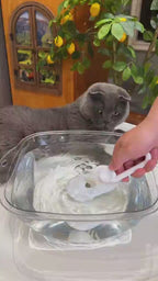 Cat groomed with the misting brush, showing the loose fur it lifts out